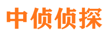 卫滨调查公司